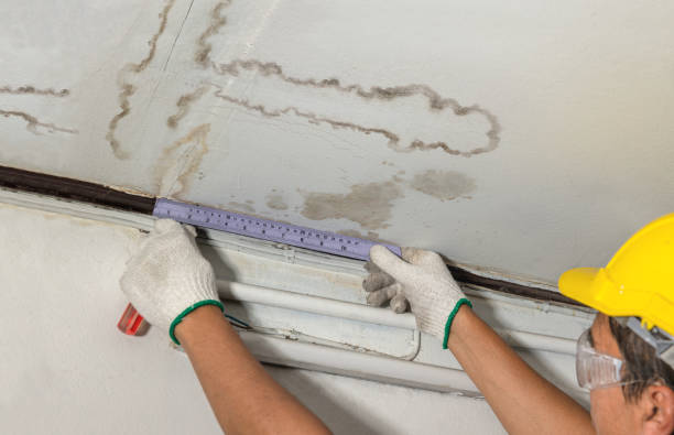 Reliable Water Removal contractor in Luna Pier, MI by Water Damage Irwin